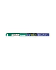 Mantovani Sylvania CoralStar Neon Per Acquari Illuminazione  Attanica