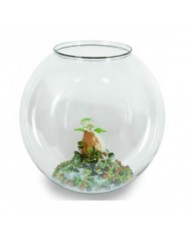 Mantovani Acquario Boccia In Plastica Con Panorama