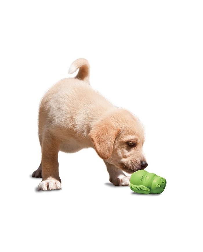 Busy Buddy Palla Scoiattolo Educativo Verde Gioco Dispenser Cibo Per Cane