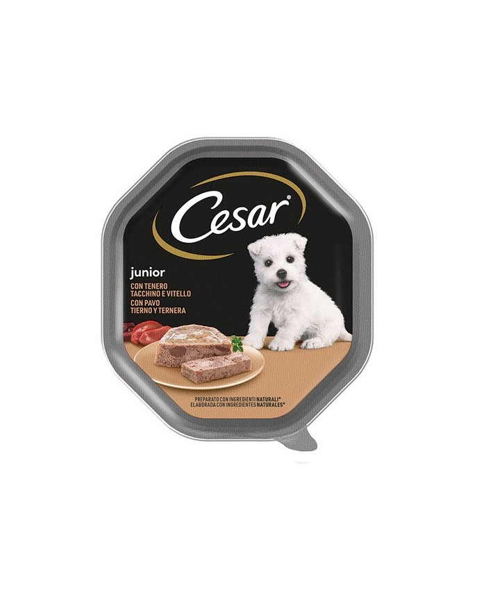 Cesar Cane Umido Junior Vaschette 150 gr