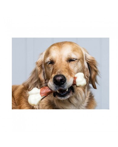 Farmcompany Nylabone Gioco Osso di Femore Extreme Chew Manzo Farmcompany Nylabone Gioco Osso di Femore Extreme Chew Manzo