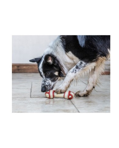 Farmcompany Nylabone Gioco Osso Nodo Extreme Chew Manzo Farmcompany Nylabone Gioco Osso Nodo Extreme Chew Manzo