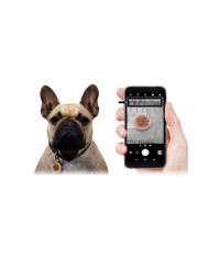 Slais Wanted Tag Medaglietta Per L' identificazione Dell' Animale Con QR Code