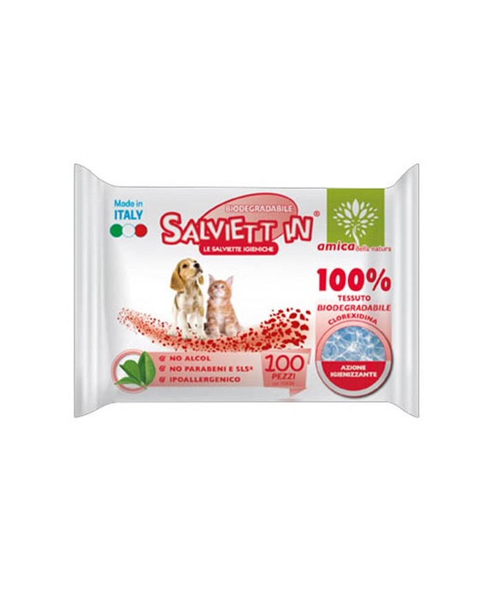 Salviett In Salviette Igienizzanti XXL 100 Pezzi