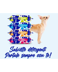 Tewua Salviettine 40pz